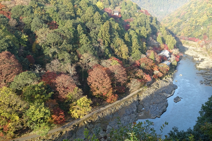 京都_紅葉情報_2019_16　嵯峨嵐山　No17