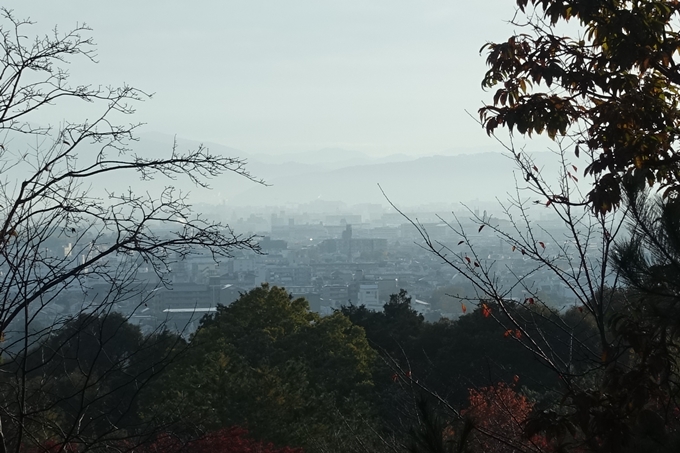 京都_紅葉情報_2019_16　嵯峨嵐山　No18