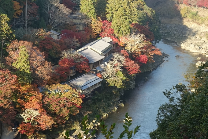 京都_紅葉情報_2019_16　嵯峨嵐山　No22