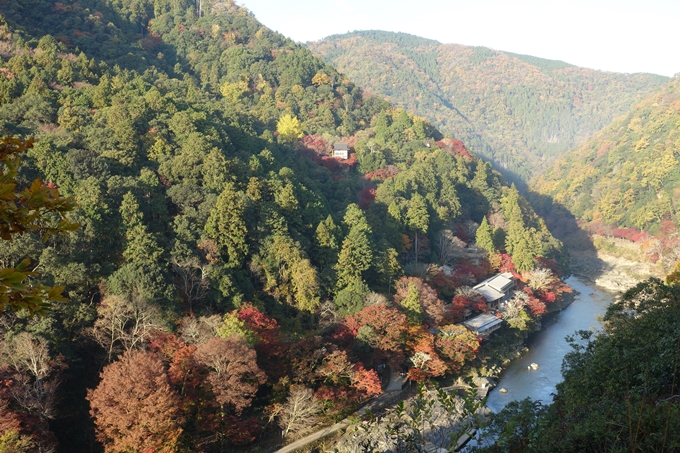 京都_紅葉情報_2019_16　嵯峨嵐山　No24