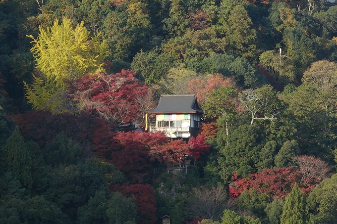 京都_紅葉情報_2019_16　嵯峨嵐山　No31