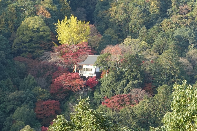 京都_紅葉情報_2019_16　嵯峨嵐山　No35