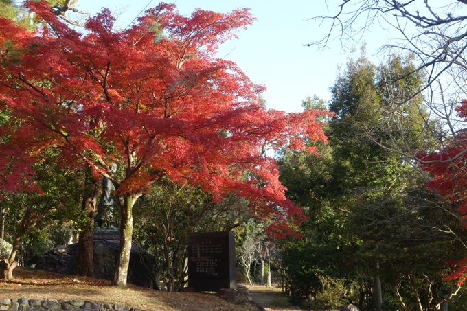 京都_紅葉情報_2019_16　嵯峨嵐山　No43