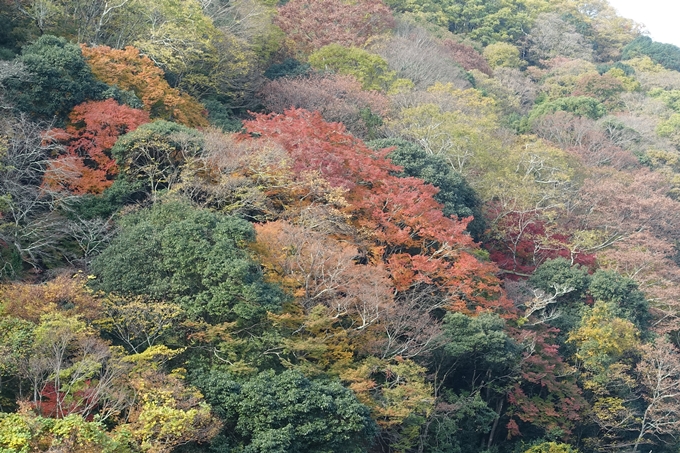 京都_紅葉情報_2019_16　嵯峨嵐山　No57