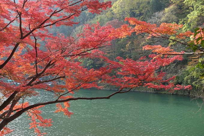 京都_紅葉情報_2019_16　嵯峨嵐山　No58