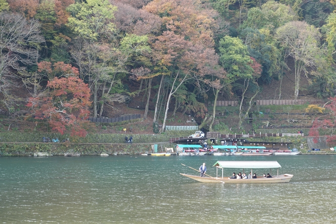 京都_紅葉情報_2019_16　嵯峨嵐山　No61