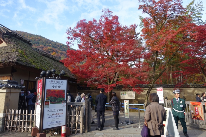 京都_紅葉情報_2019_16　嵯峨嵐山　No65