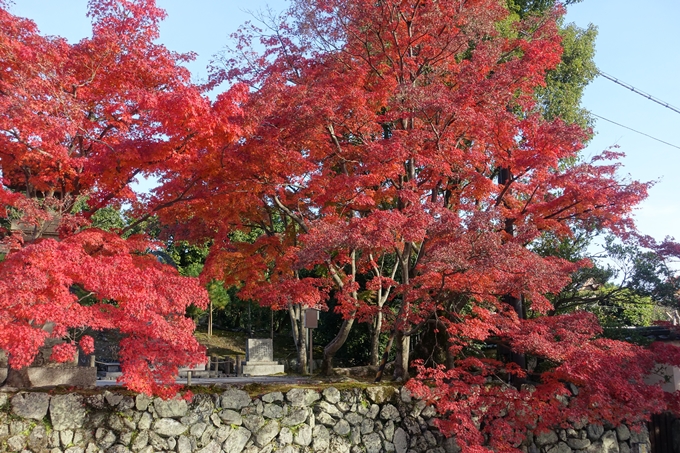 京都_紅葉情報_2019_16　嵯峨嵐山　No72