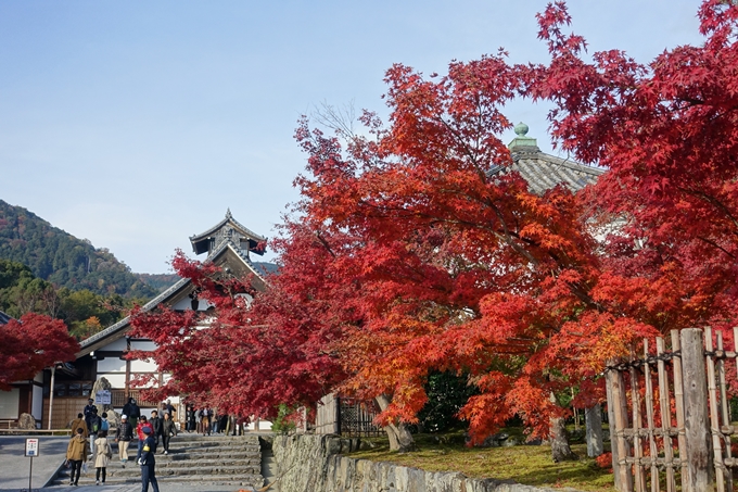 京都_紅葉情報_2019_16　嵯峨嵐山　No74