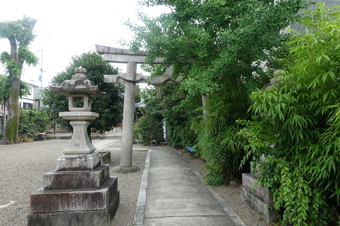 總神社　No11