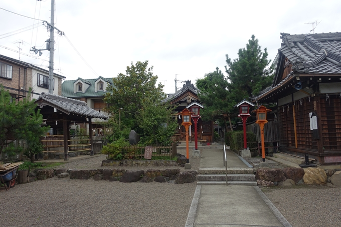 總神社　No13