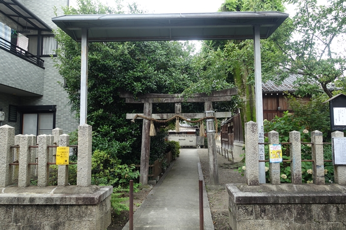 總神社　No29