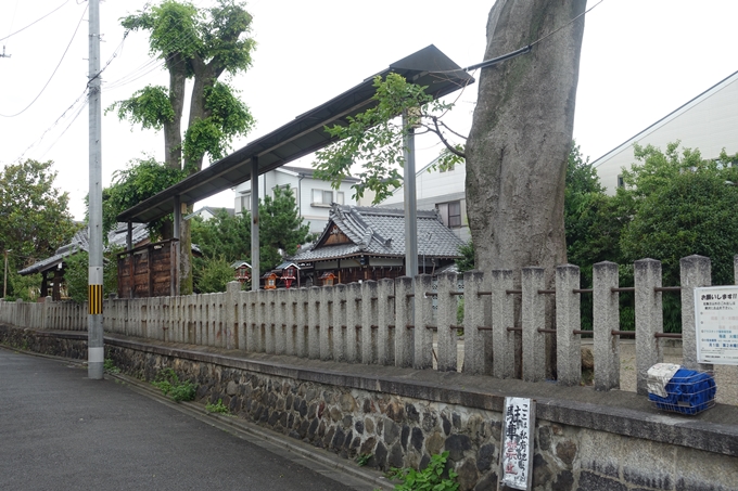 總神社　No10