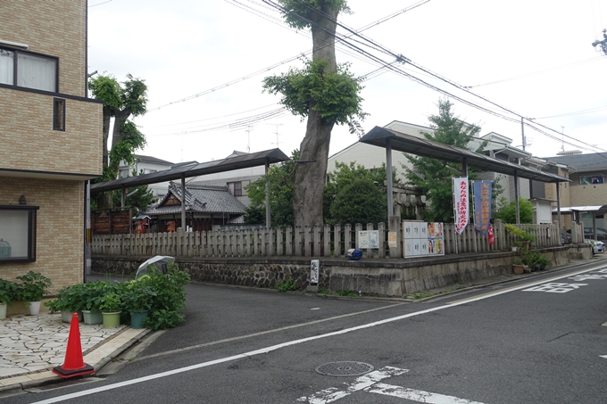 總神社　No9