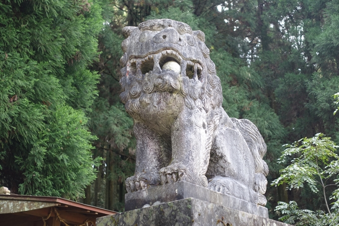 番外編_九州_熊本県_上色見熊野座神社　No9