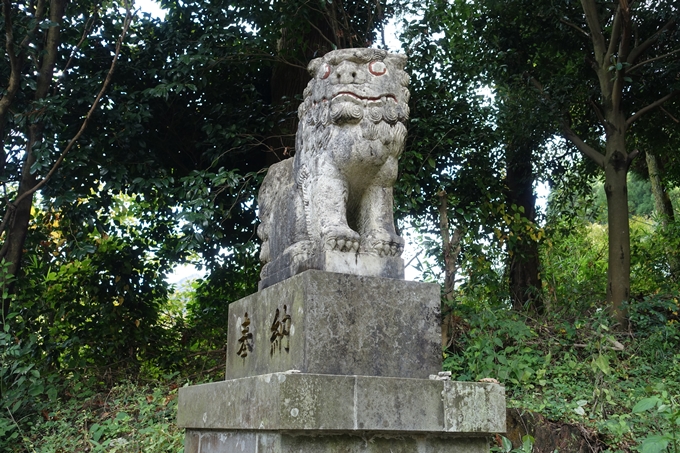 番外編_九州_熊本県_上色見熊野座神社　No10