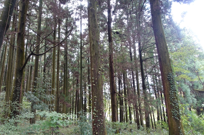 番外編_九州_熊本県_上色見熊野座神社　No13