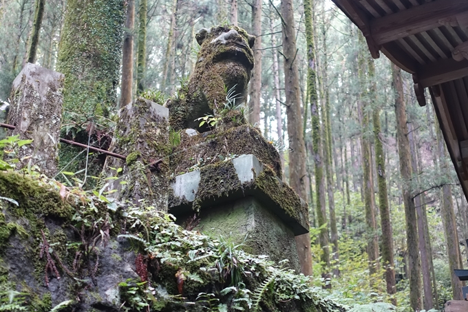 番外編_九州_熊本県_上色見熊野座神社　No35