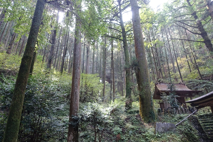 番外編_九州_熊本県_上色見熊野座神社　No37