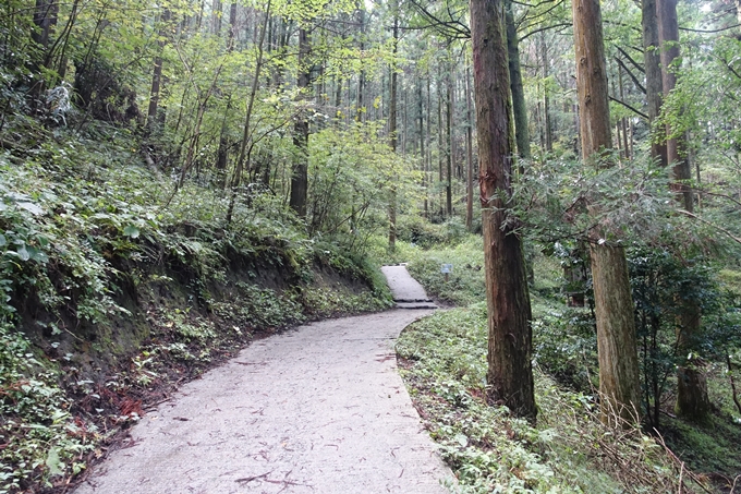 番外編_九州_熊本県_上色見熊野座神社　No38