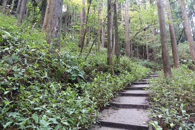 番外編_九州_熊本県_上色見熊野座神社　No42