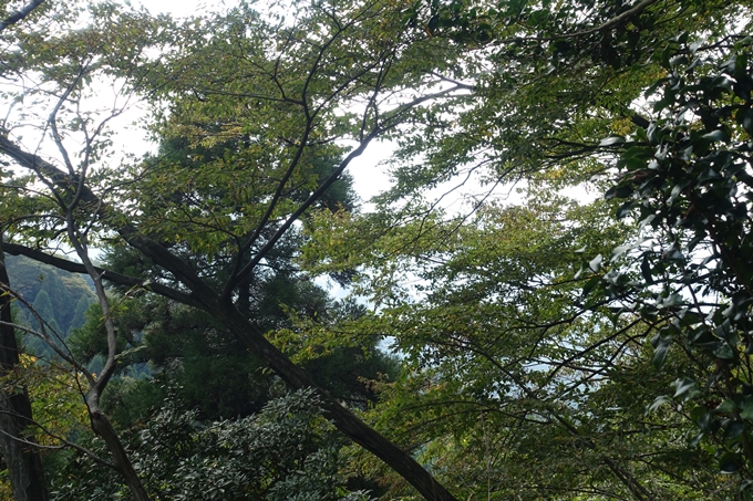 番外編_九州_熊本県_上色見熊野座神社　No51