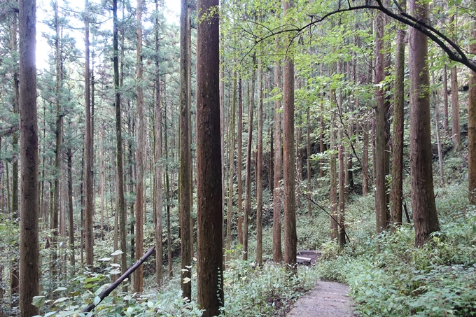 番外編_九州_熊本県_上色見熊野座神社　No63