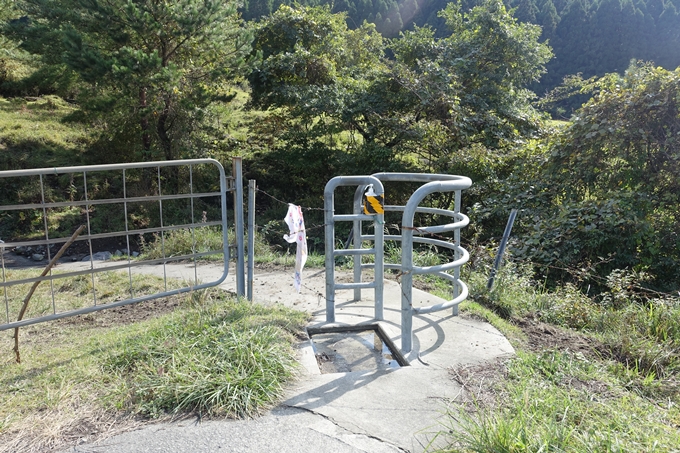 番外編_九州_熊本県_高森殿の杉_草部吉見神社　No5