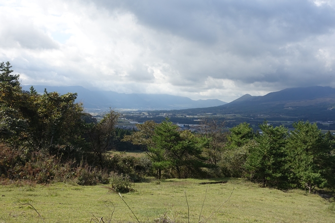 番外編_九州_熊本県_高森殿の杉_草部吉見神社　No7