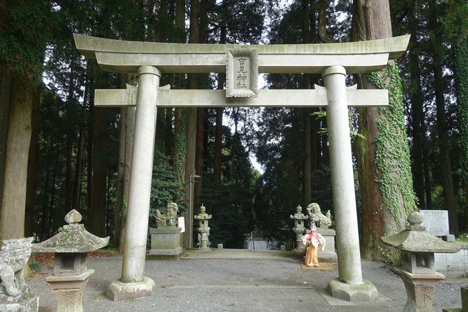 番外編_九州_熊本県_高森殿の杉_草部吉見神社　No26