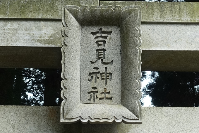 番外編_九州_熊本県_高森殿の杉_草部吉見神社　No27