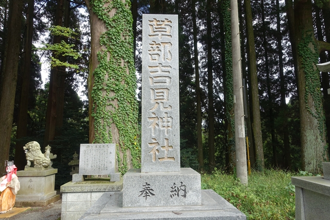 番外編_九州_熊本県_高森殿の杉_草部吉見神社　No28