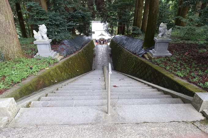 番外編_九州_熊本県_高森殿の杉_草部吉見神社　No29