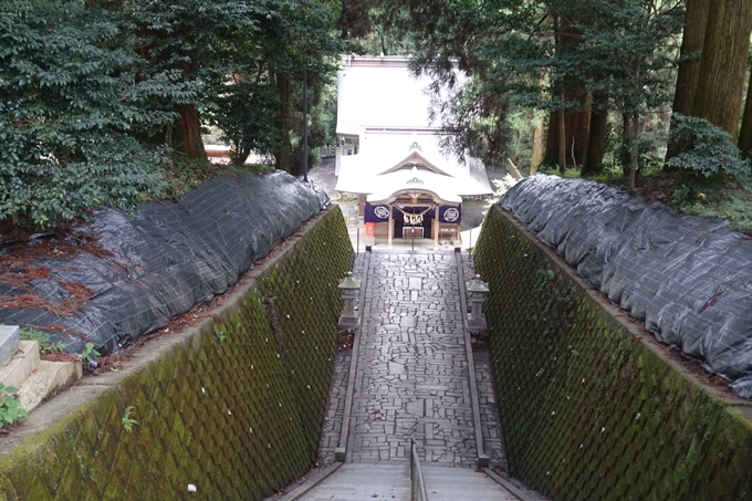 番外編_九州_熊本県_高森殿の杉_草部吉見神社　No30