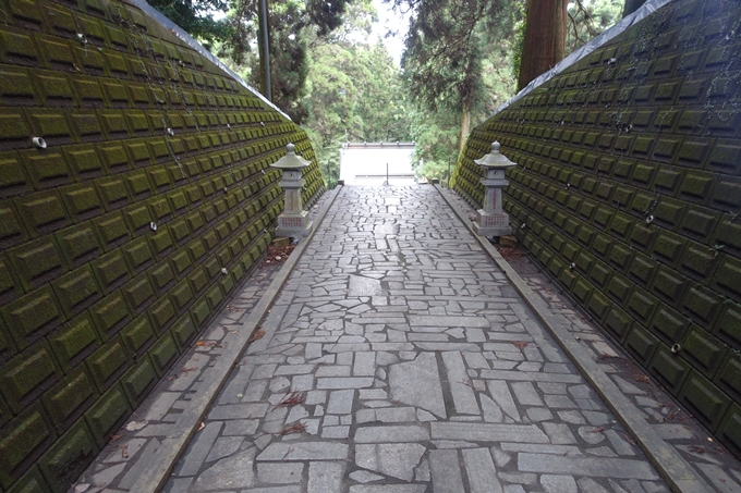 番外編_九州_熊本県_高森殿の杉_草部吉見神社　No31