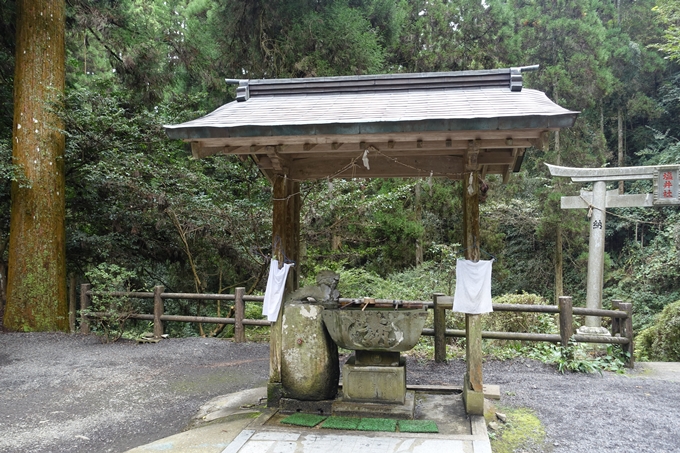 番外編_九州_熊本県_高森殿の杉_草部吉見神社　No33