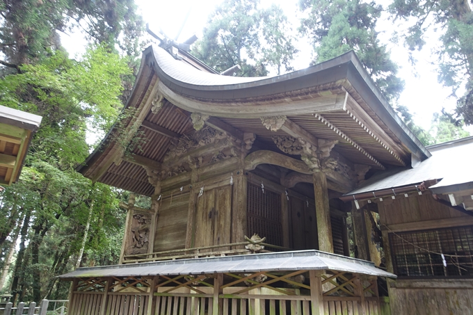 番外編_九州_熊本県_高森殿の杉_草部吉見神社　No42