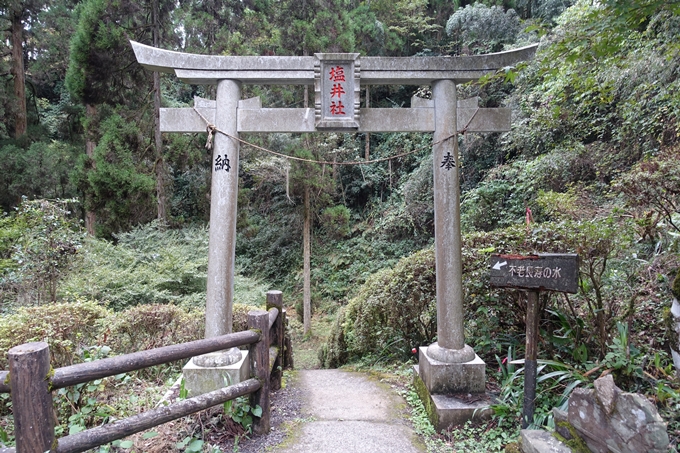 番外編_九州_熊本県_高森殿の杉_草部吉見神社　No43