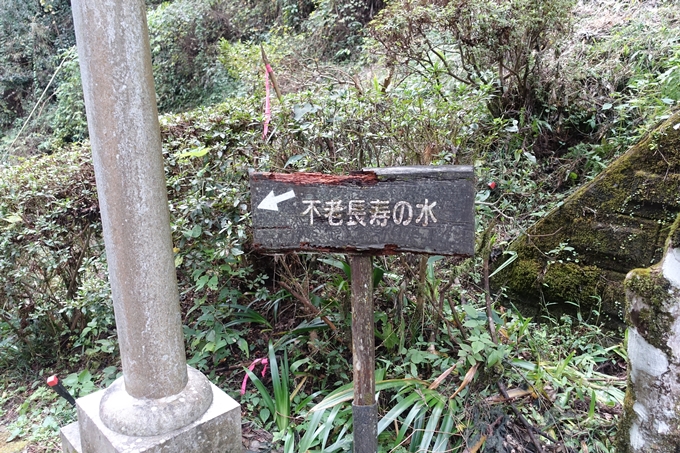 番外編_九州_熊本県_高森殿の杉_草部吉見神社　No44