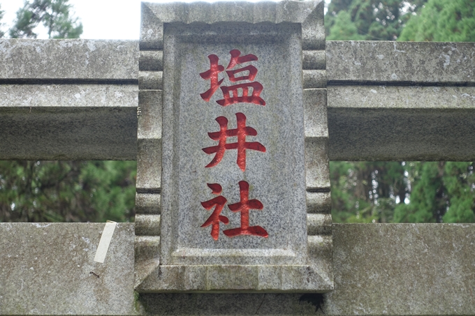 番外編_九州_熊本県_高森殿の杉_草部吉見神社　No45