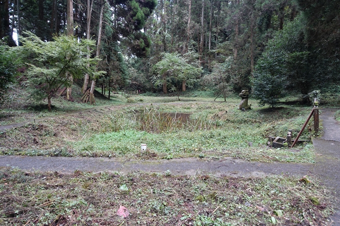 番外編_九州_熊本県_高森殿の杉_草部吉見神社　No47