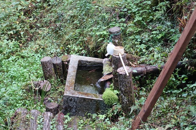 番外編_九州_熊本県_高森殿の杉_草部吉見神社　No49