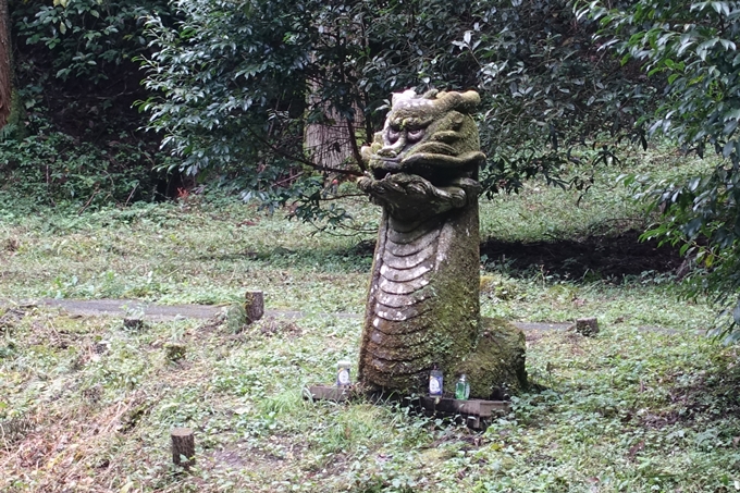 番外編_九州_熊本県_高森殿の杉_草部吉見神社　No50