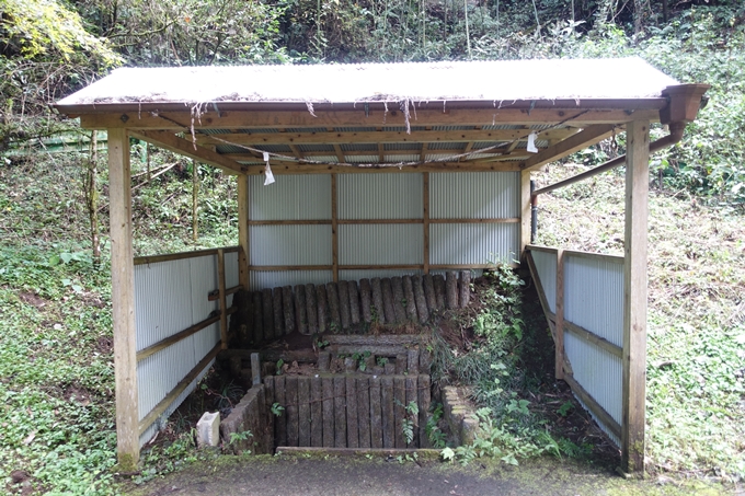 番外編_九州_熊本県_高森殿の杉_草部吉見神社　No52