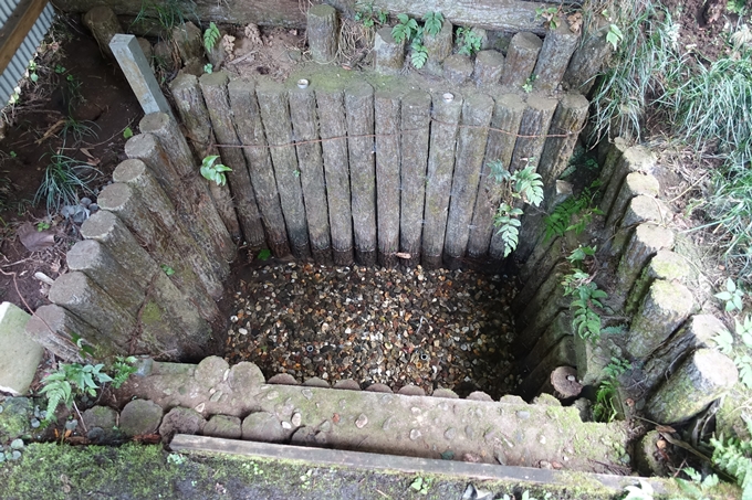 番外編_九州_熊本県_高森殿の杉_草部吉見神社　No53