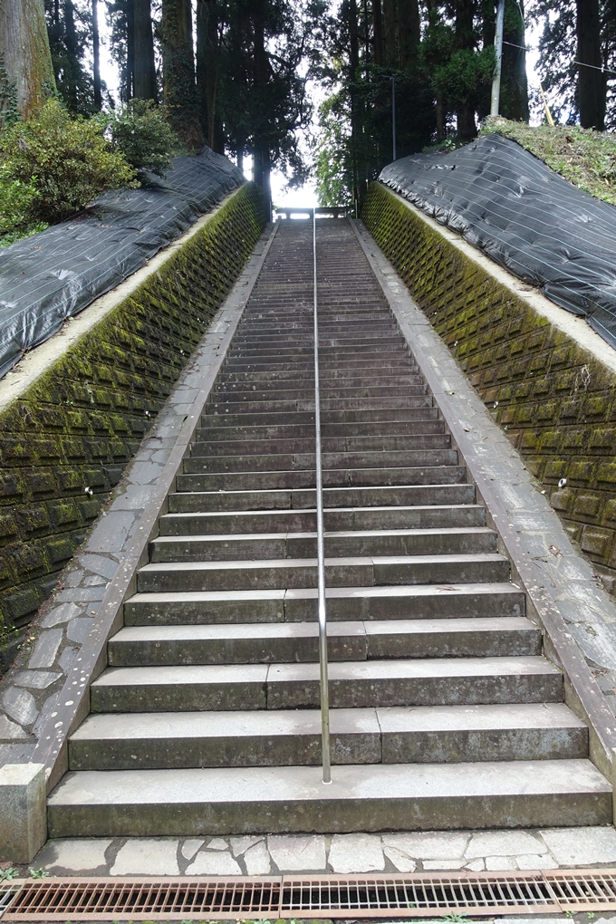 番外編_九州_熊本県_高森殿の杉_草部吉見神社　No55