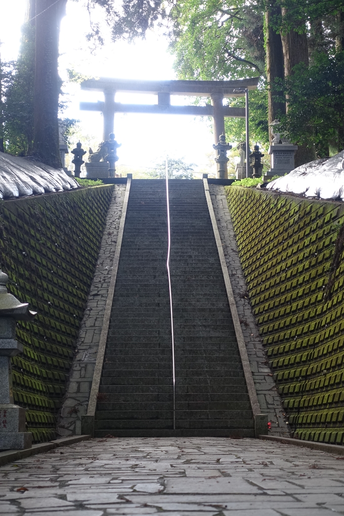 番外編_九州_熊本県_高森殿の杉_草部吉見神社　No56