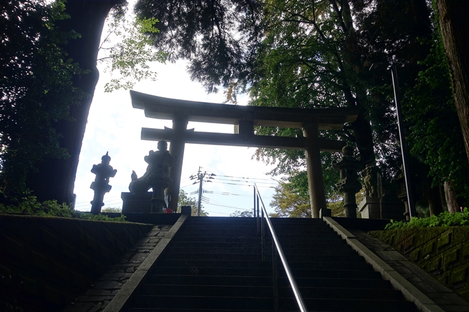 番外編_九州_熊本県_高森殿の杉_草部吉見神社　No57