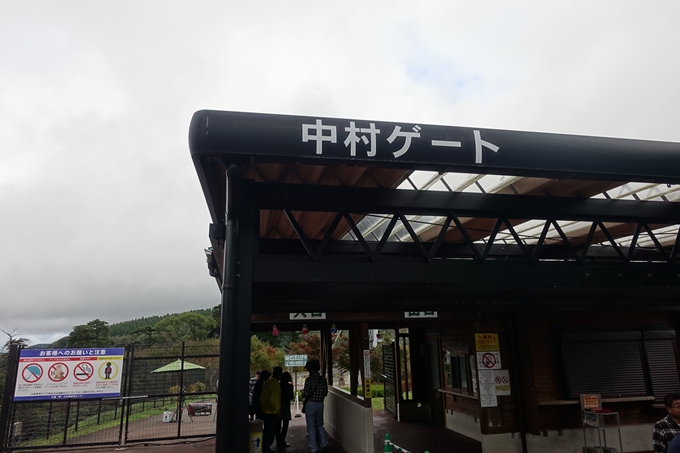 番外編_九州_大分県_九重夢大吊橋_湯布院　No7