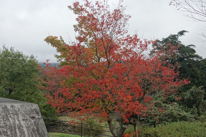 番外編_九州_大分県_九重夢大吊橋_湯布院　No12